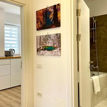 Carpatilor Urban Escape With Free Parking And Ac * Brasov