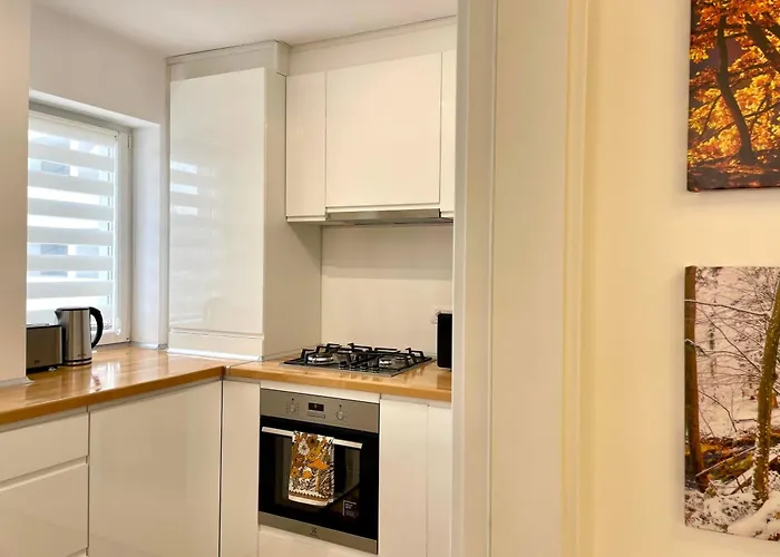 Carpatilor Urban Escape Studio: Free Parking & Ac Apartment *